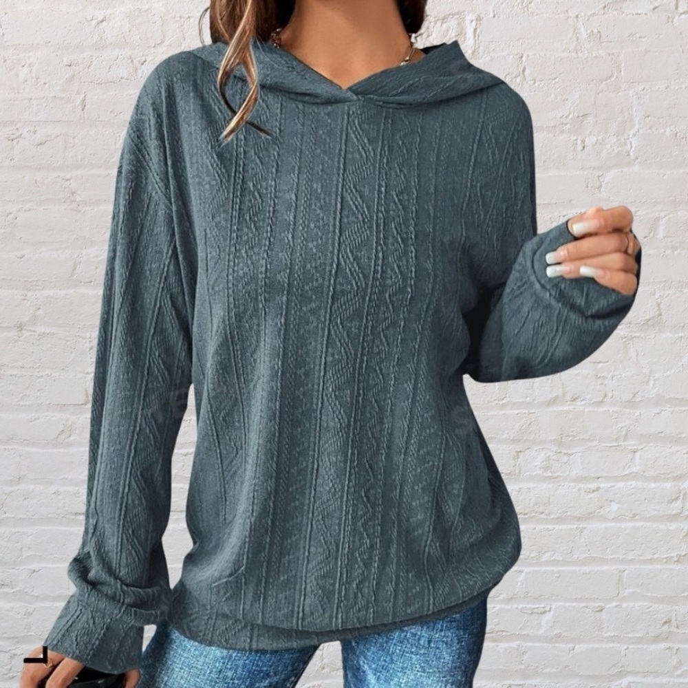 SHEIN LUNE Solid Drop Shoulder Hoodie